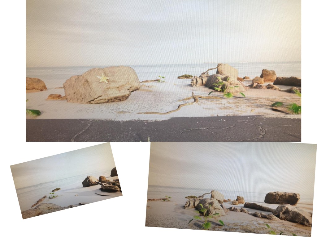 Beach Environment (2020)